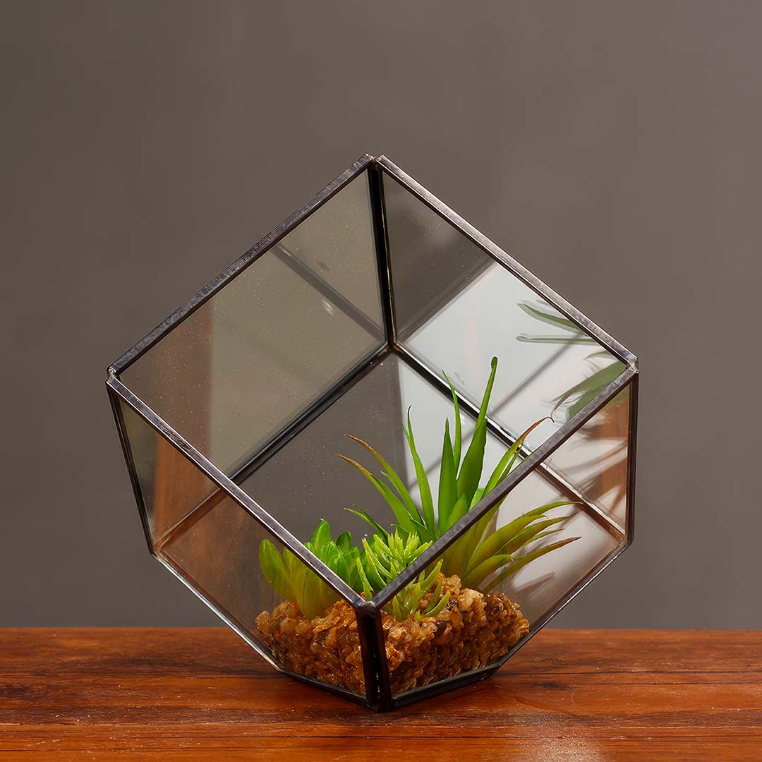 Cube Glass Terrarium
