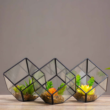 Cube Glass Terrarium