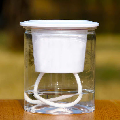 Transparent Self Watering Flowerpot