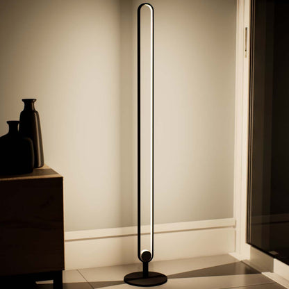 Celtis | Floor Lamp | Oval | Aluminium alloy, ABS | Medium | Black color of product | White light on | Closeup distance to lamp | In living room | Modern interior | Evening | One item | 53 in height of lamp | Scene 3 | 1x1