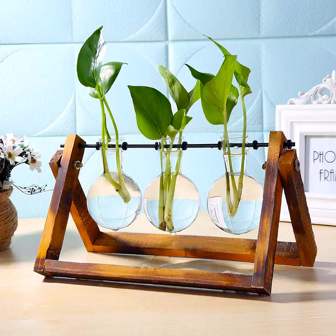 Glass and Wood Tabletop Vase Planter